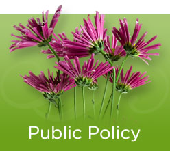 Public Policy Banner