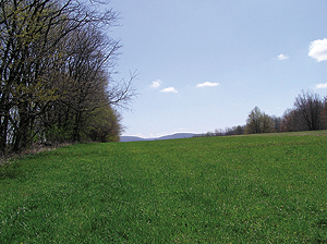 “So many landowners in the valley recognize that they live in a special place and want to be a part of the long-term protection of the valley’s open space, farmland and scenic views.”
- Thomas Saunders,
WPC CEO