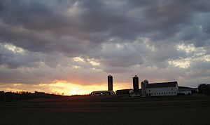 WPC uses many conservation tools to protect
lands, including agricultural easements.