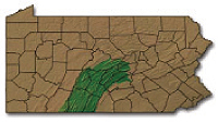 Pennsylvania’s Central Valleys and Ridges — highlighted here in
green — stretch up to the Centre-Clinton county line, down to the state border, as far east as Perry County and as far west as Somerset County.